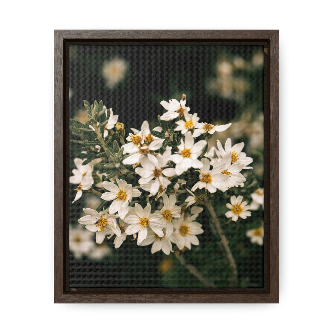 A Touch of White - Canvas with Frame