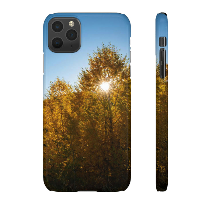 Sun Through the Aspens - Phone Case