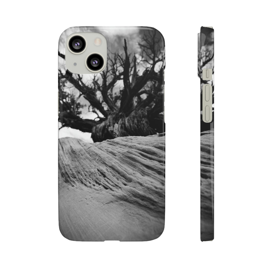 Desert Reach in Black and White - Phone Case