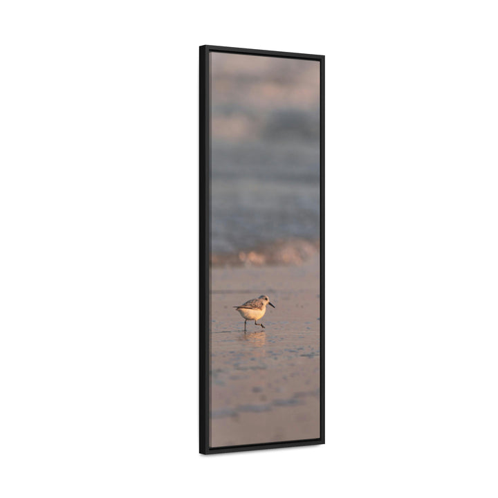 Sanderling in Soft Dusk Light - Canvas with Frame