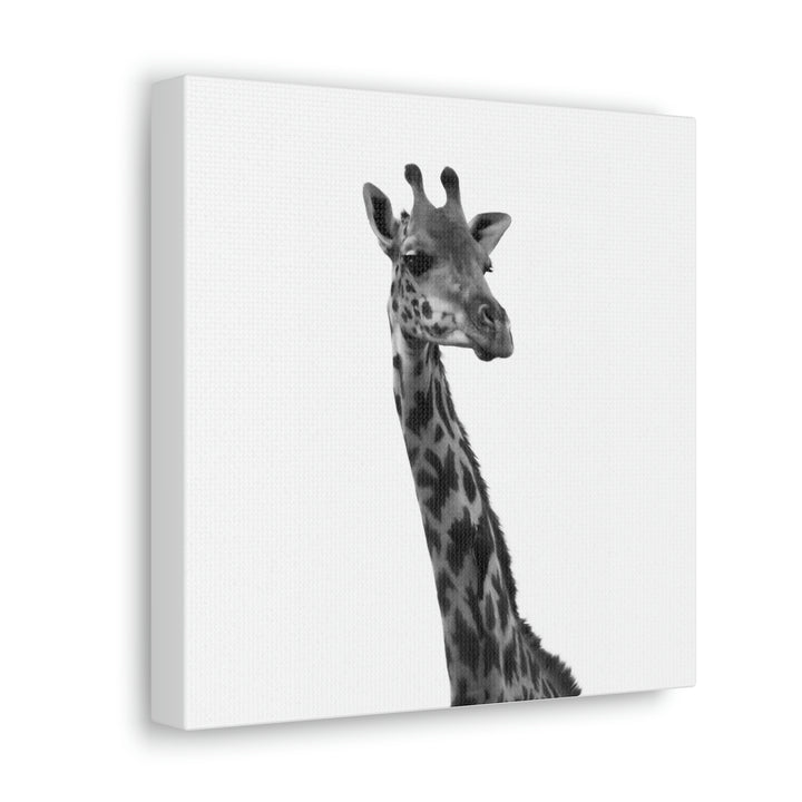 Giraffe Portrait in Black and White  - Canvas