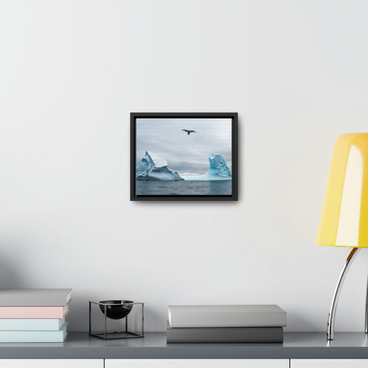 Antarctic Flight - Canvas with Frame