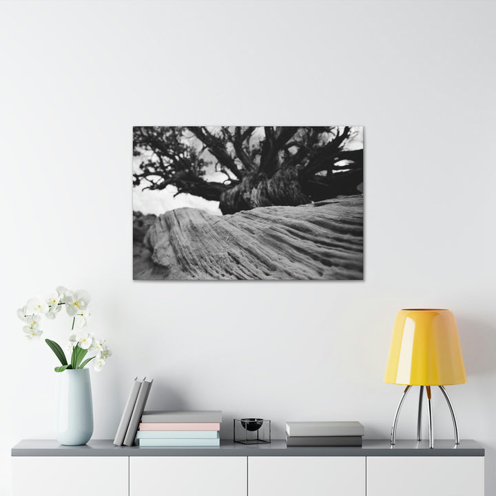 Desert Reach in Black and White - Canvas