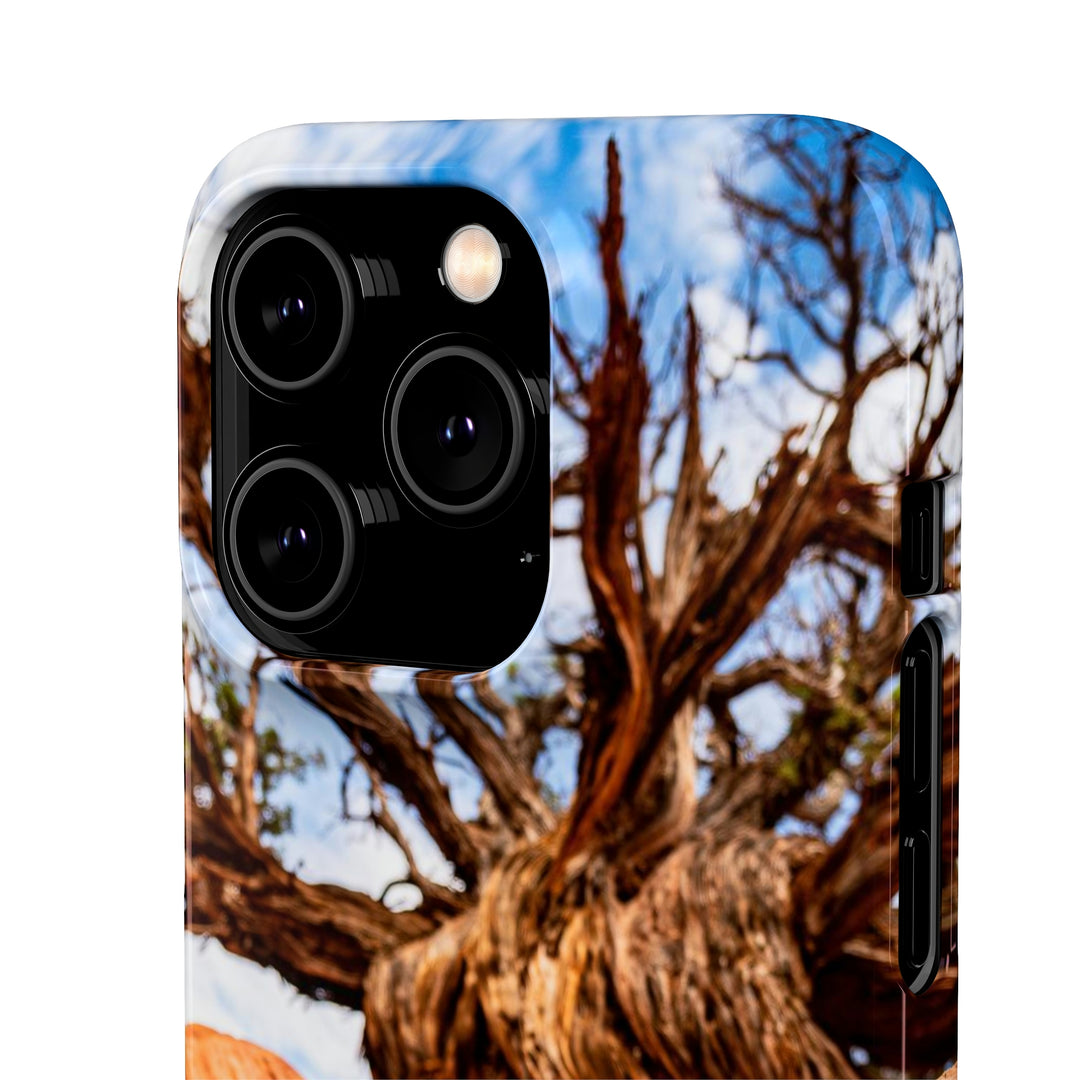 Desert Reach - Phone Case