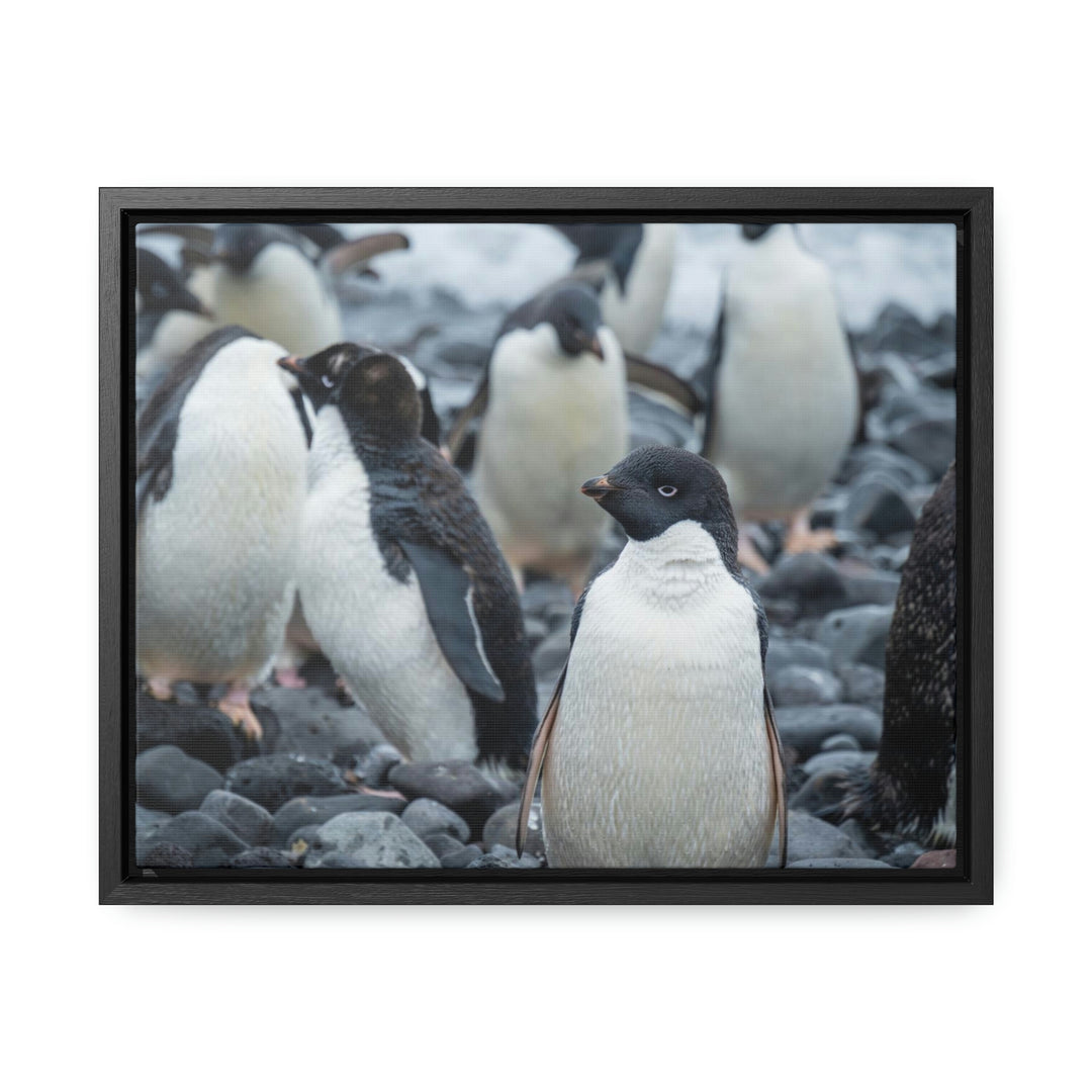 Drying Out - Canvas with Frame