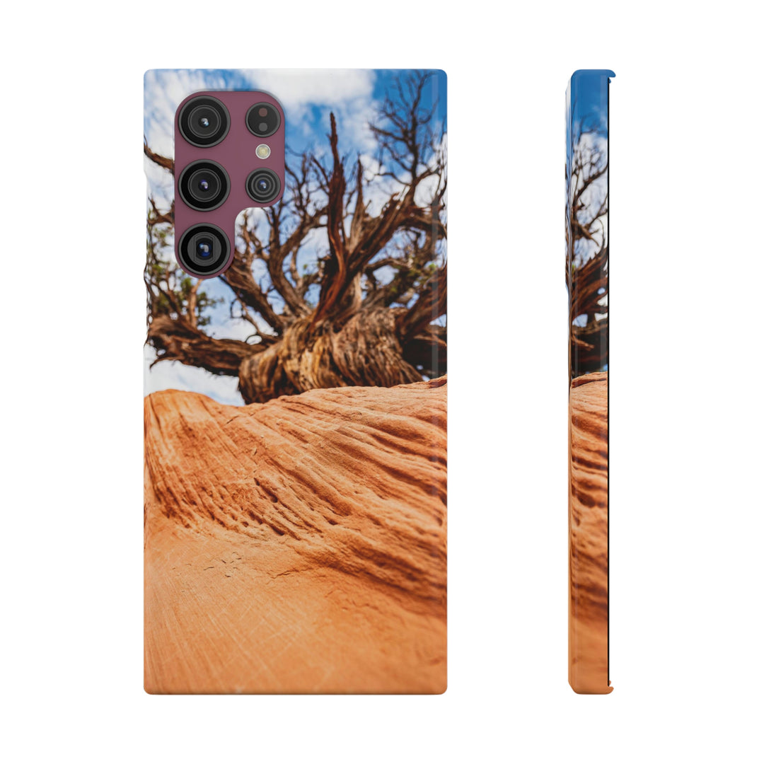 Desert Reach - Phone Case