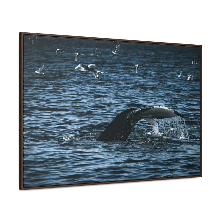 Feeding Tail - Canvas with Frame