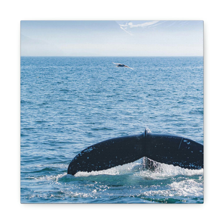 A Whale and A Mountain - Canvas