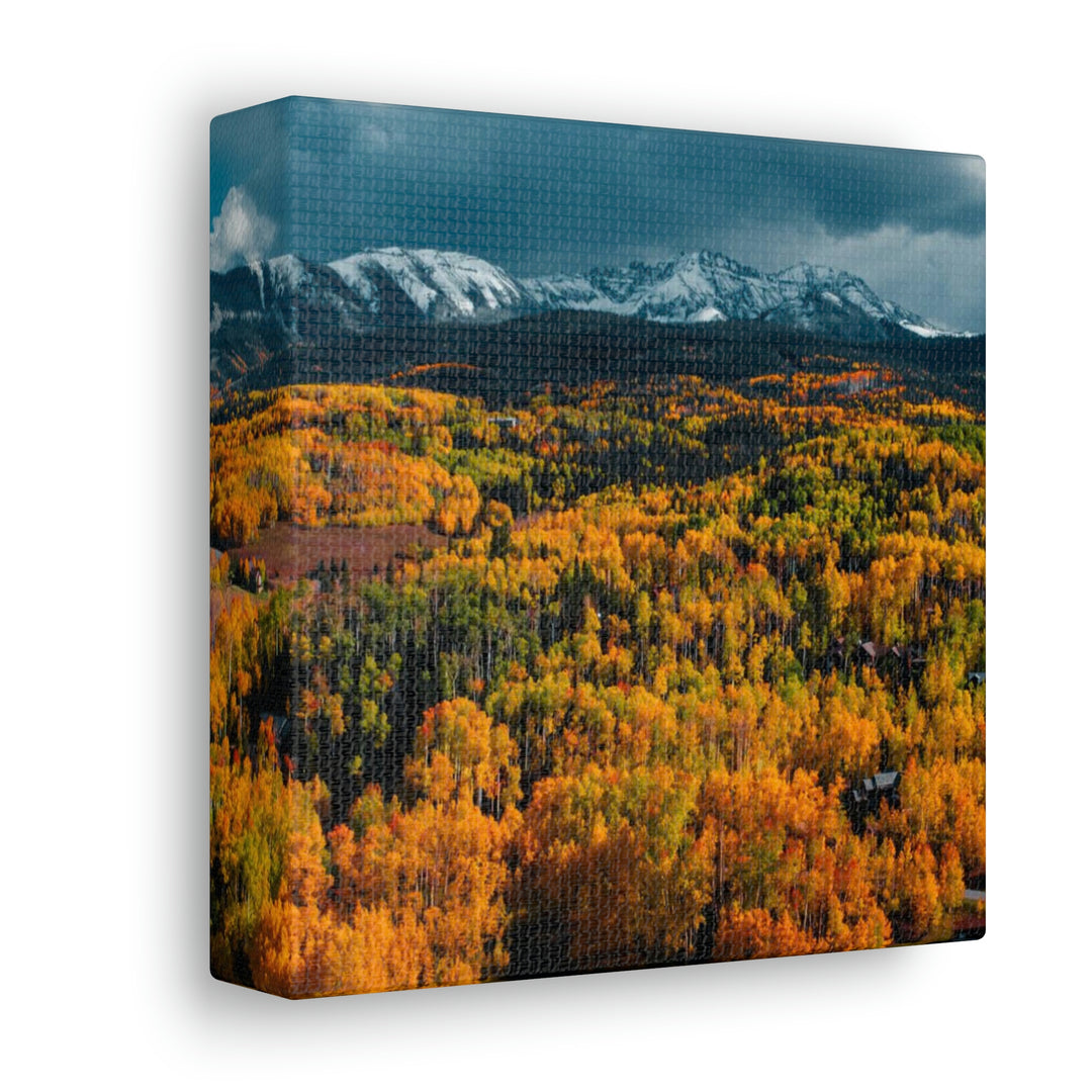 Golds of Autumn - Canvas