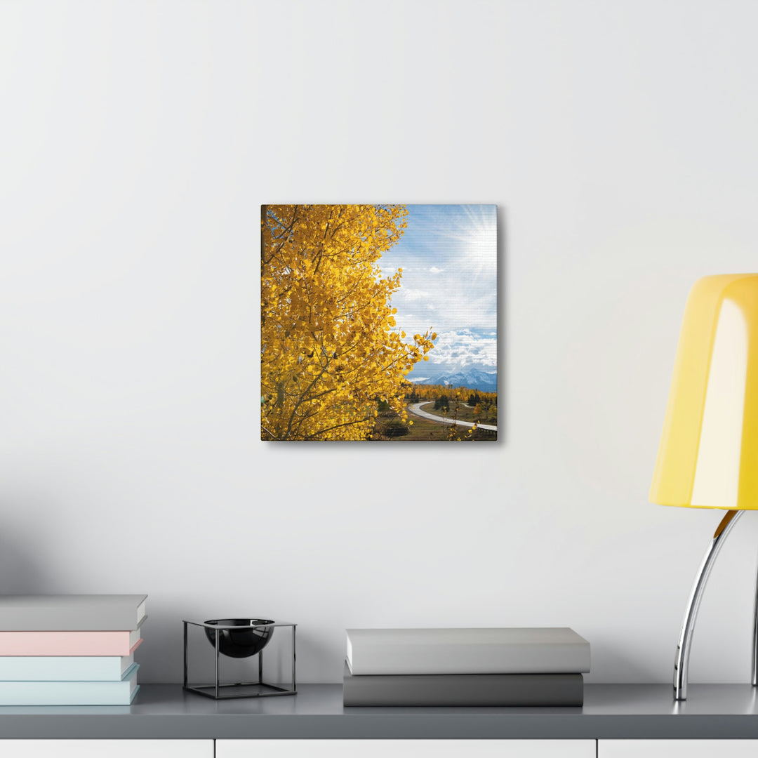 Golden Sunshine - Canvas