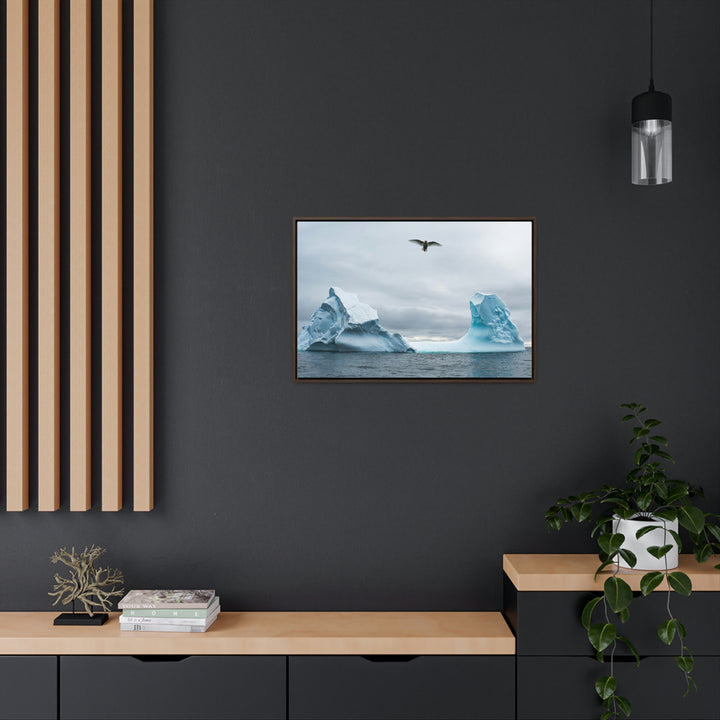 Antarctic Flight - Canvas with Frame