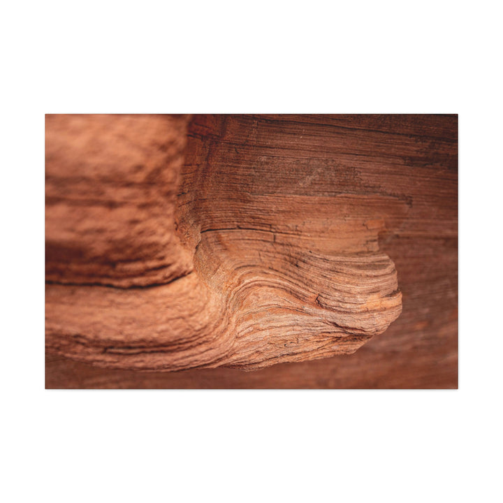 Sedimentary Rock Curves - Canvas