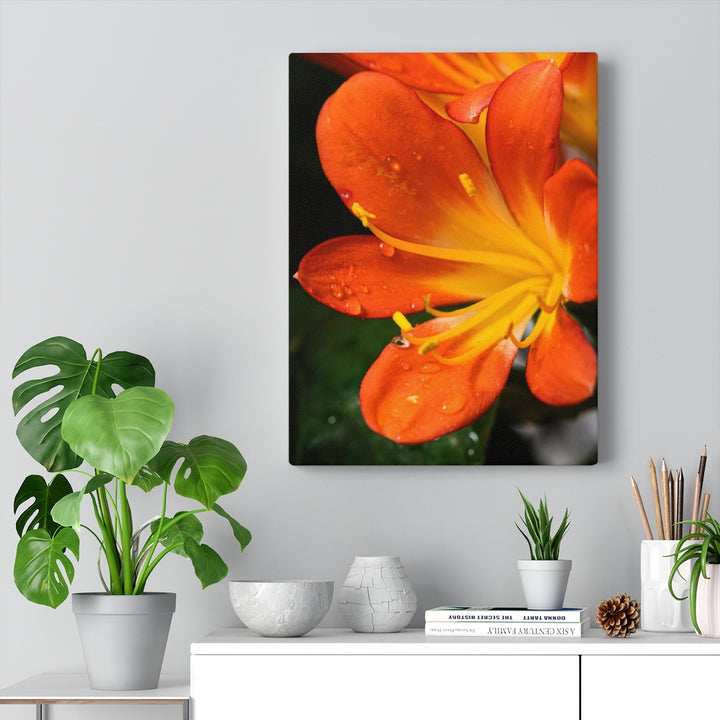 Bright Bush Lily - Canvas