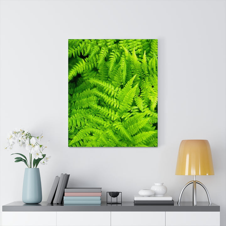 Ferns, Ferns, Ferns - Canvas