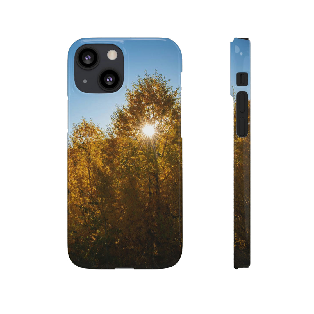 Sun Through the Aspens - Phone Case