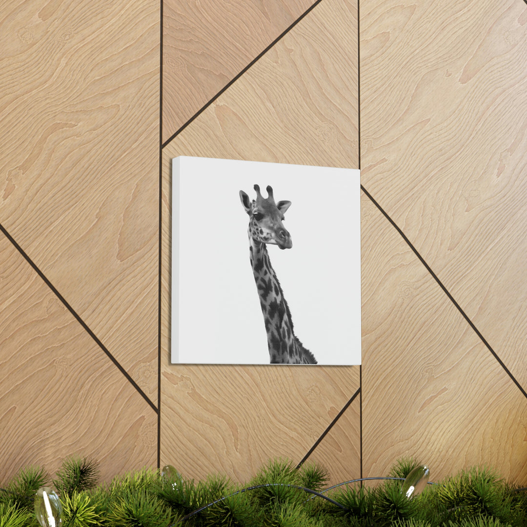 Giraffe Portrait in Black and White  - Canvas