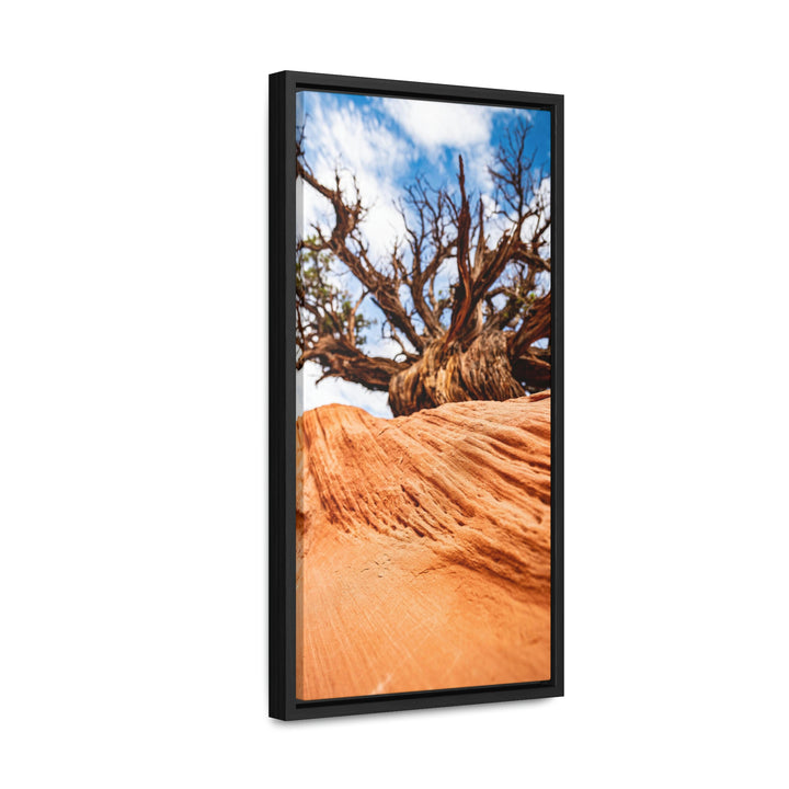 Desert Reach - Canvas with Frame