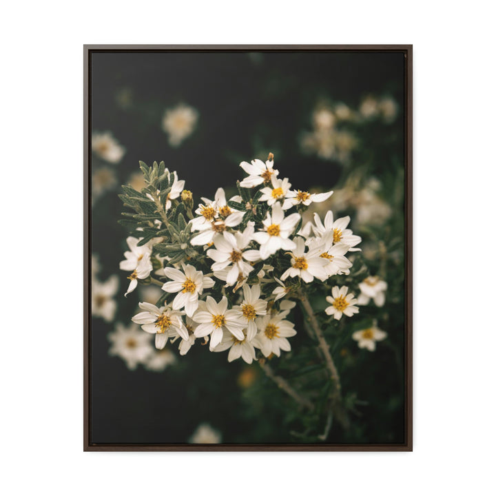 A Touch of White - Canvas with Frame