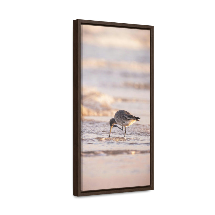 Willet Itch - Canvas with Frame