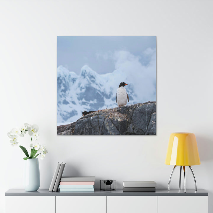 Poised Penguin - Canvas