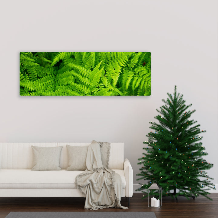 Ferns, Ferns, Ferns - Canvas