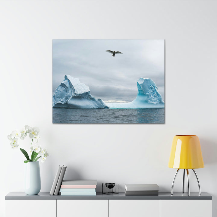 Antarctic Flight - Canvas