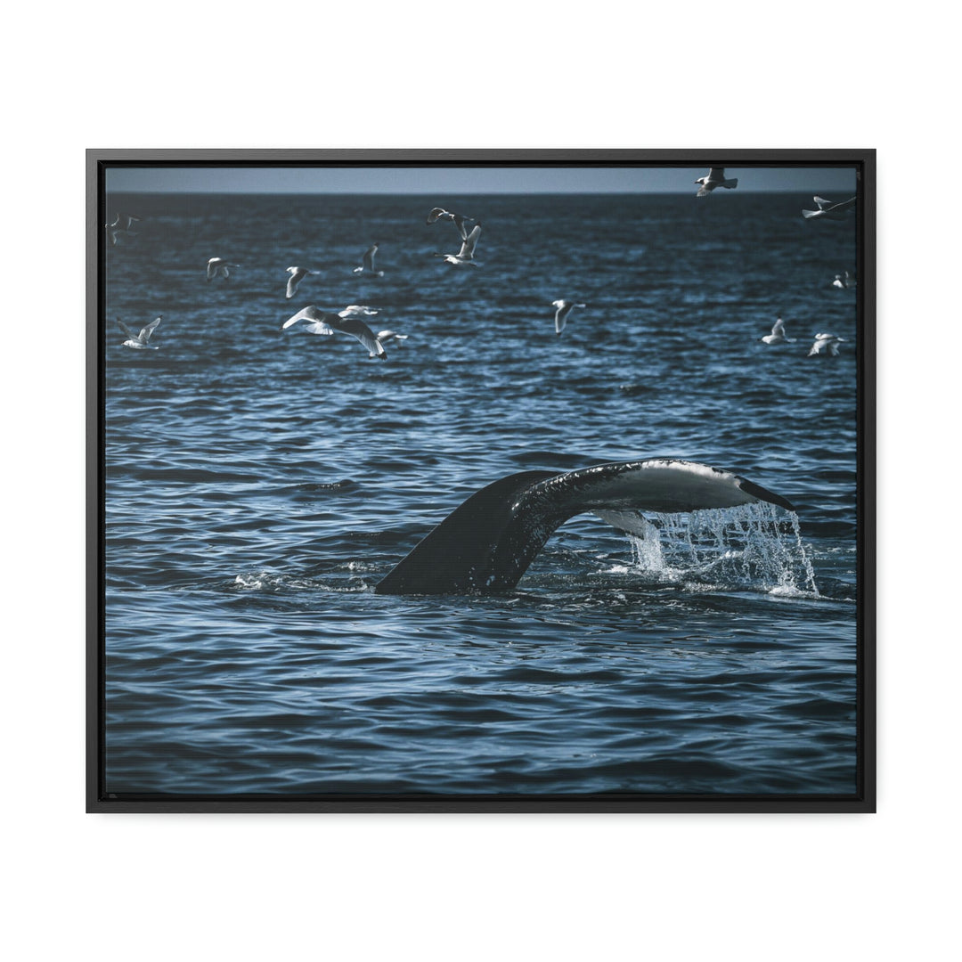 Feeding Tail - Canvas with Frame