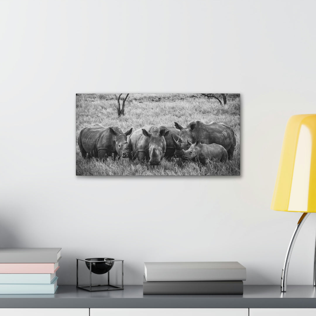 Rhino Family in Black and White - Canvas