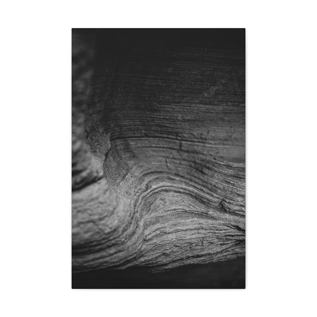 Sedimentary Rock Curves in Black and White - Canvas