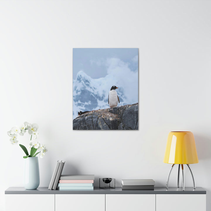 Poised Penguin - Canvas