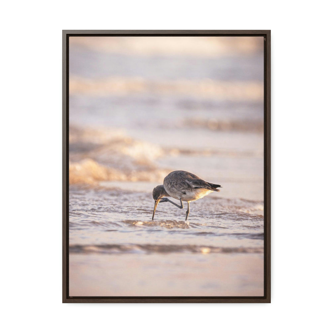 Willet Itch - Canvas with Frame