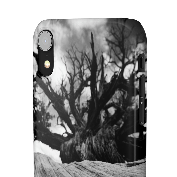 Desert Reach in Black and White - Phone Case