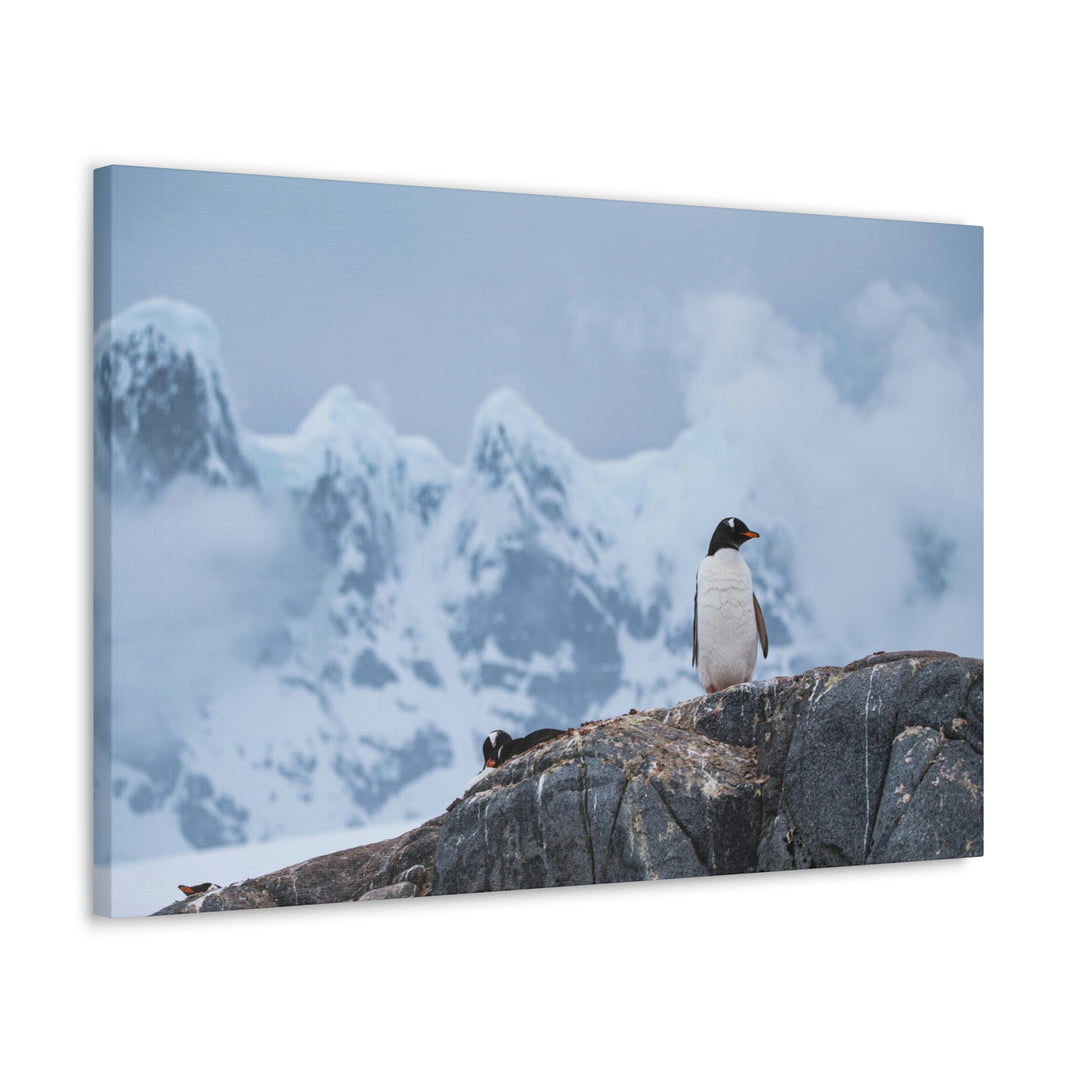 Poised Penguin - Canvas