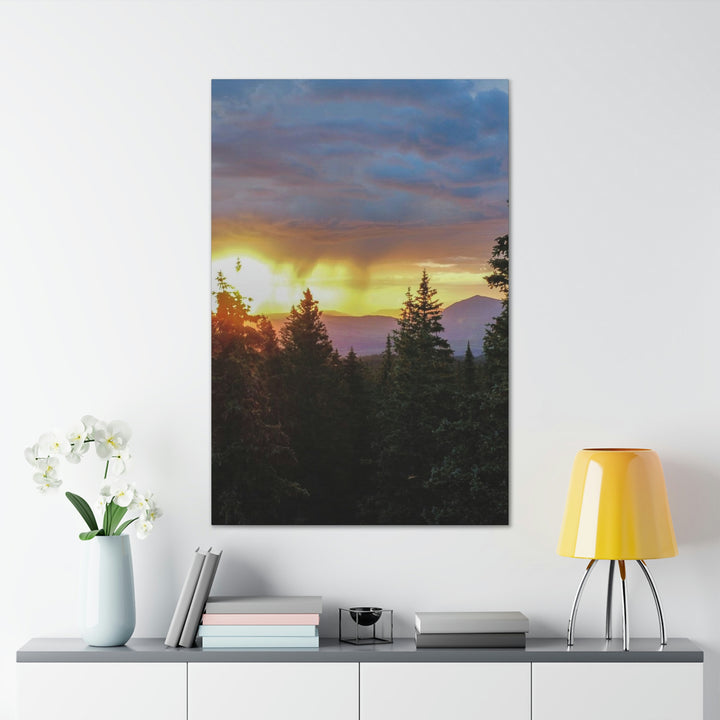 Rainy Sunset Through the Trees - Canvas