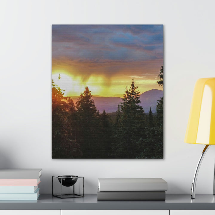 Rainy Sunset Through the Trees - Canvas