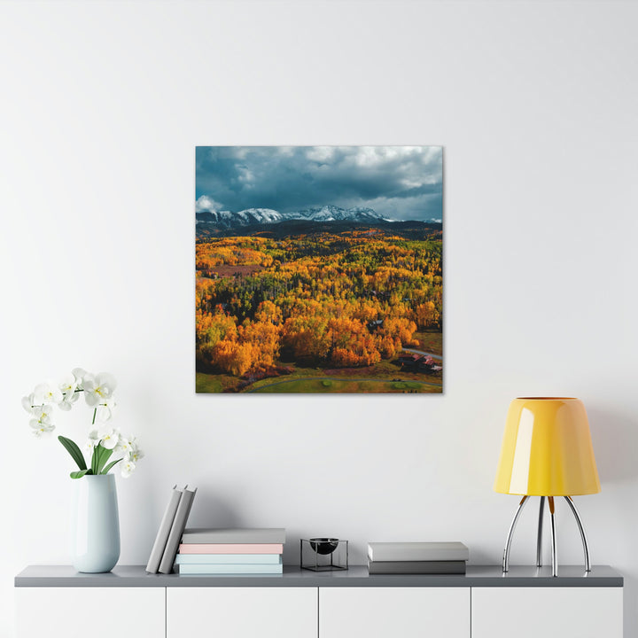 Golds of Autumn - Canvas