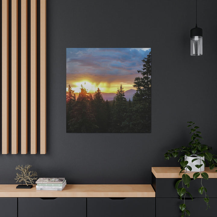 Rainy Sunset Through the Trees - Canvas