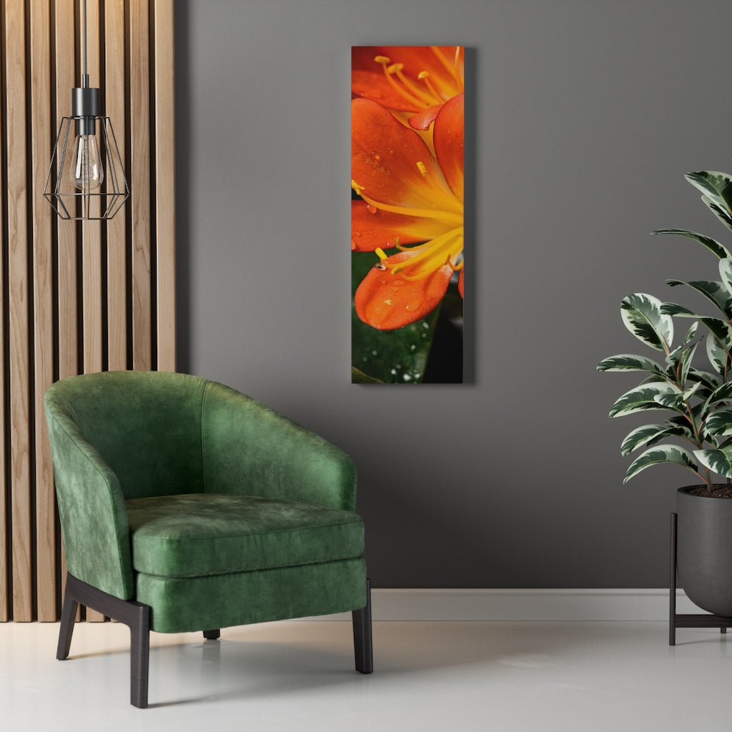 Bright Bush Lily - Canvas