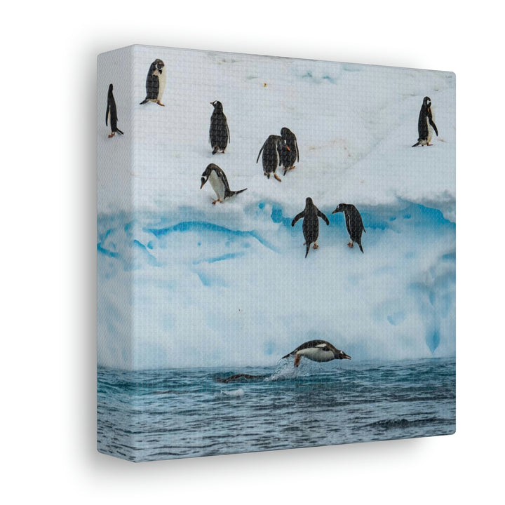 Porpoising Penguin - Canvas