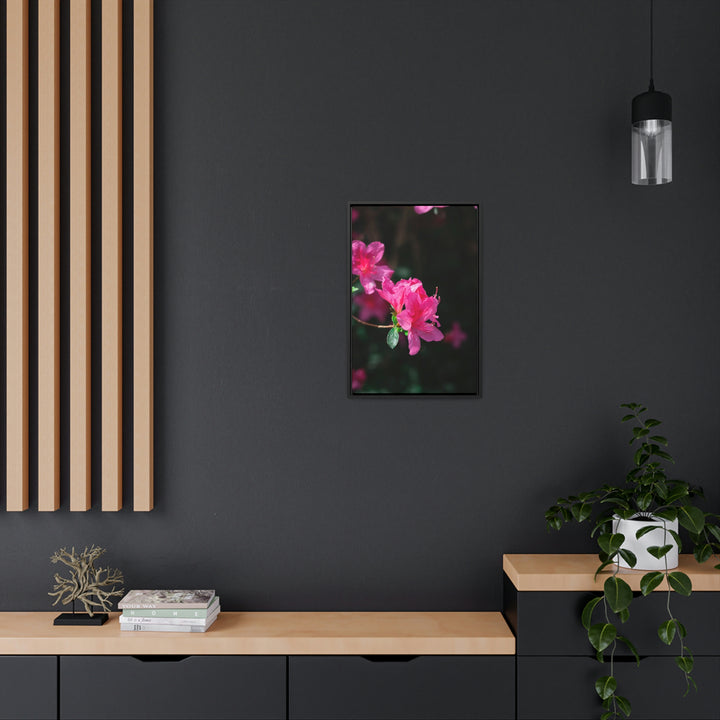 Standout Azalea - Canvas with Frame - Visiting This World