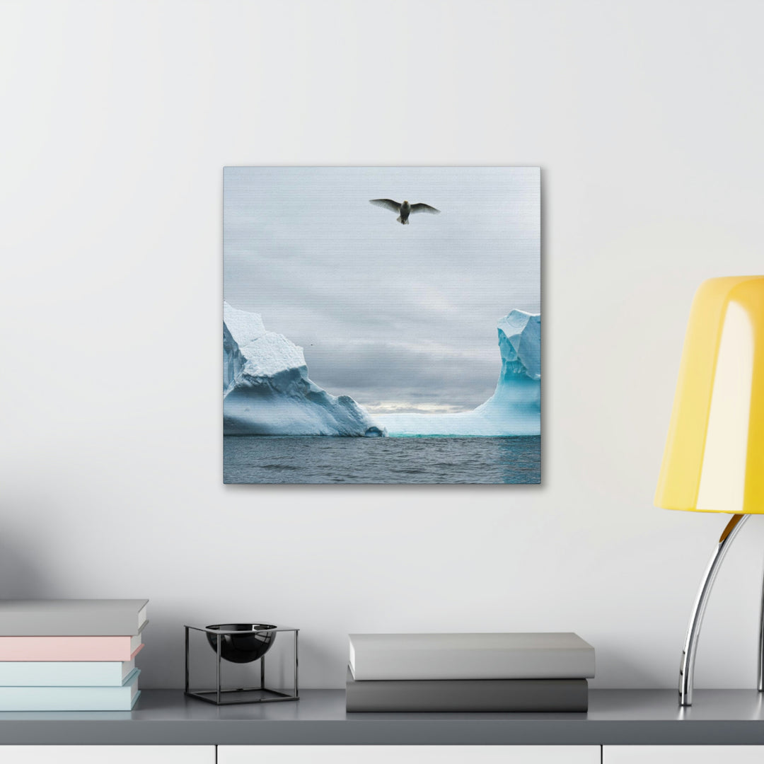 Antarctic Flight - Canvas