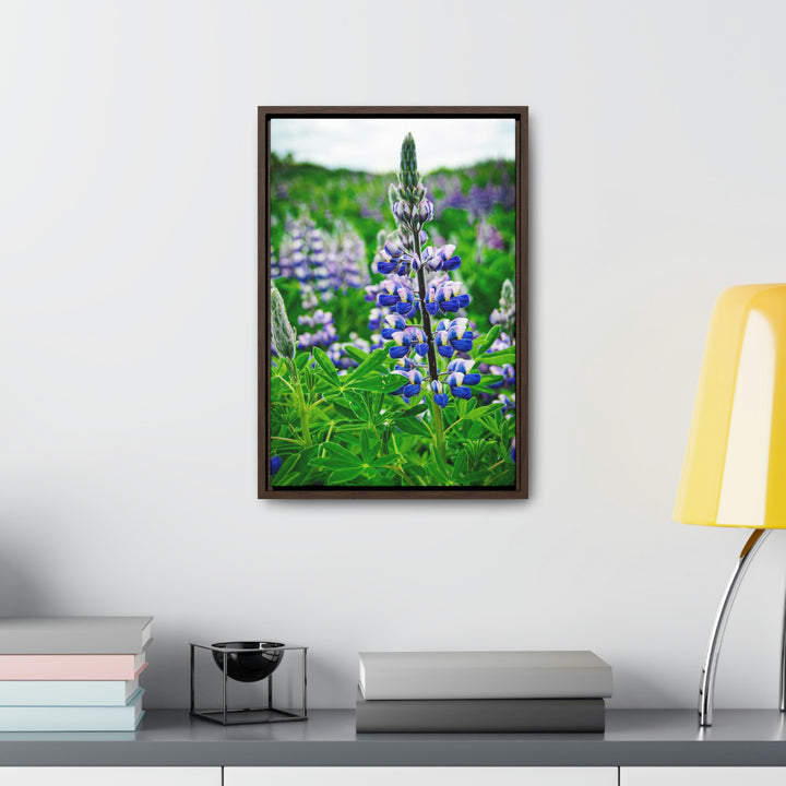 Glowing Lupin - Canvas with Frame