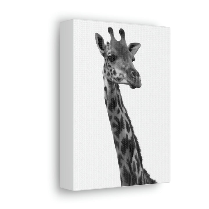 Giraffe Portrait in Black and White  - Canvas