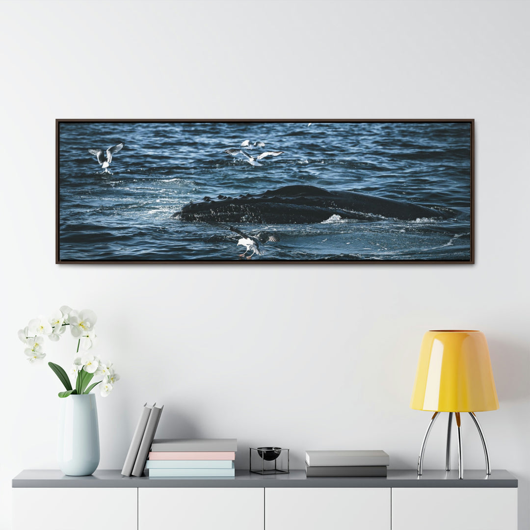 Humpback Hello - Canvas with Frame