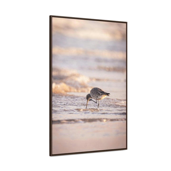 Willet Itch - Canvas with Frame