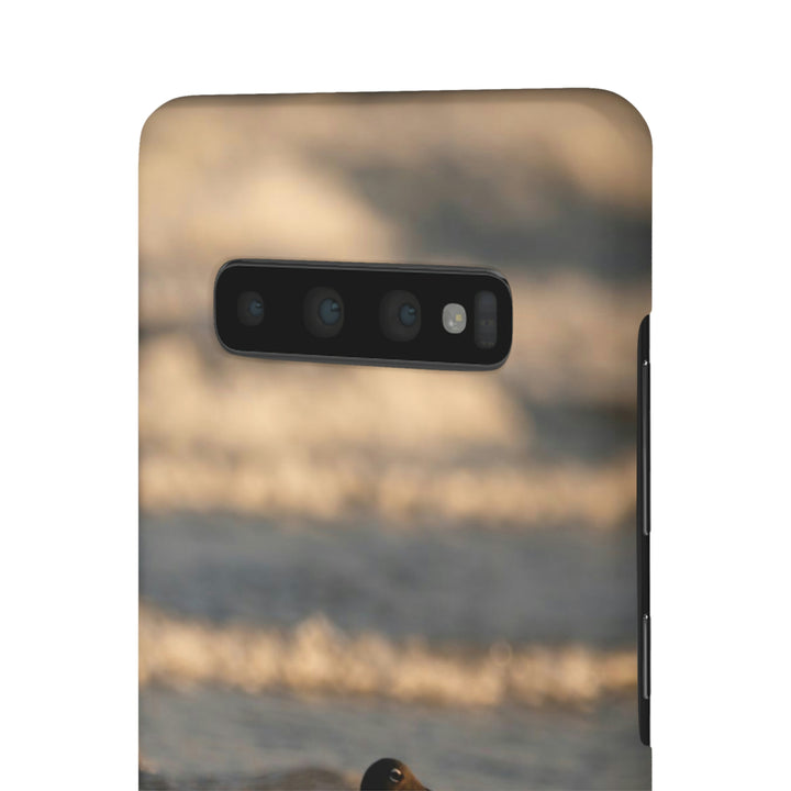 Laughing Gull in the Surf - Phone Case