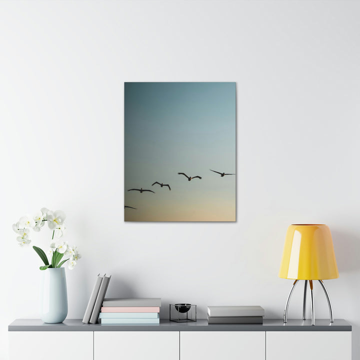 Brown Pelicans in Flight - Canvas