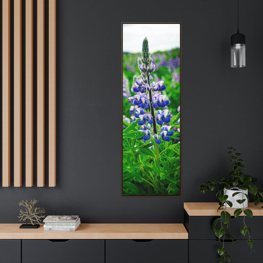 Glowing Lupin - Canvas with Frame