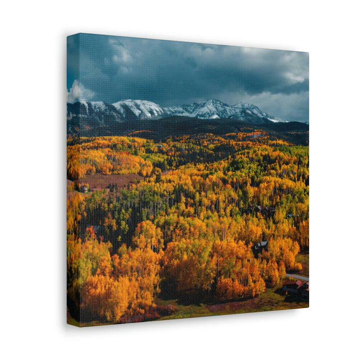 Golds of Autumn - Canvas