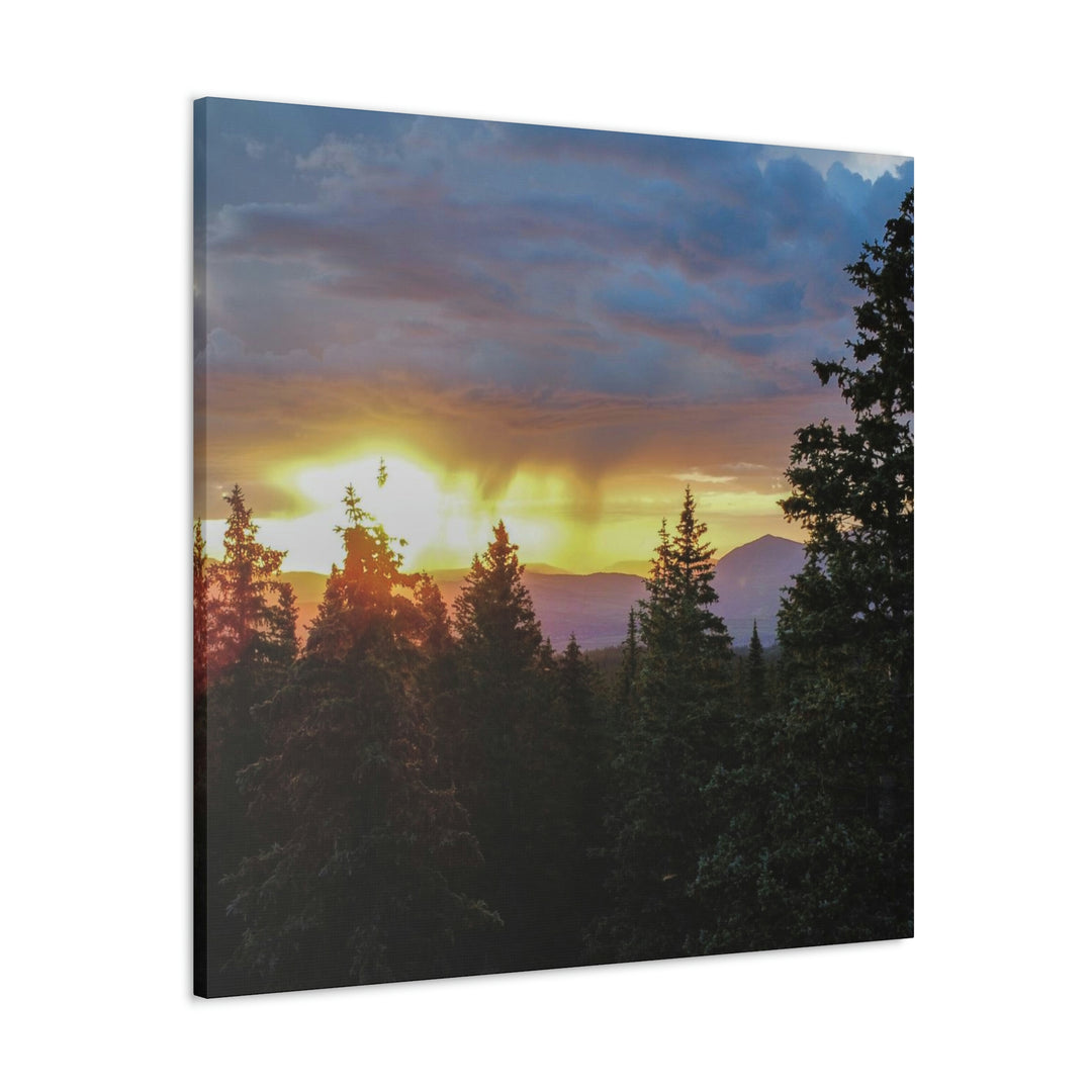 Rainy Sunset Through the Trees - Canvas